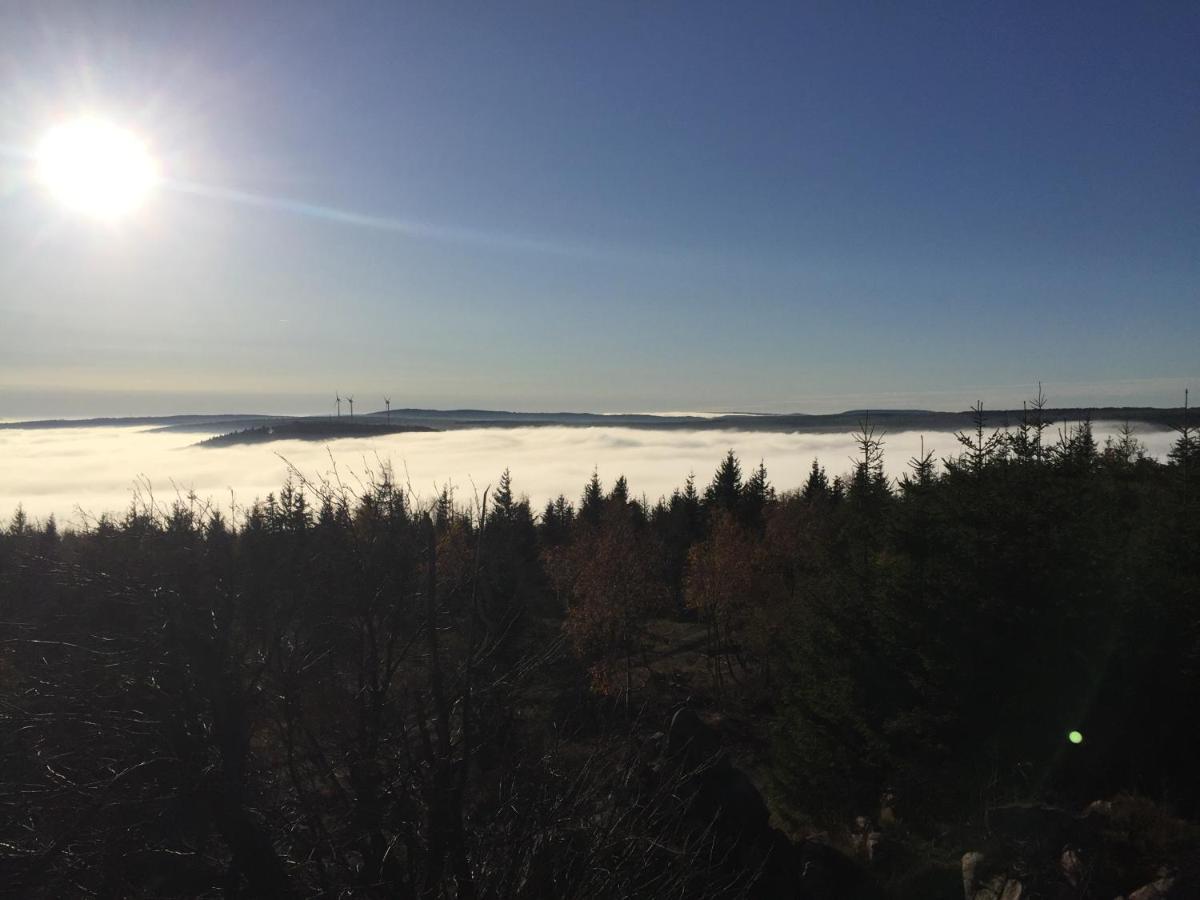 Erzgebirgsholzhaus Am Lugstein Villa Altenberg Luaran gambar