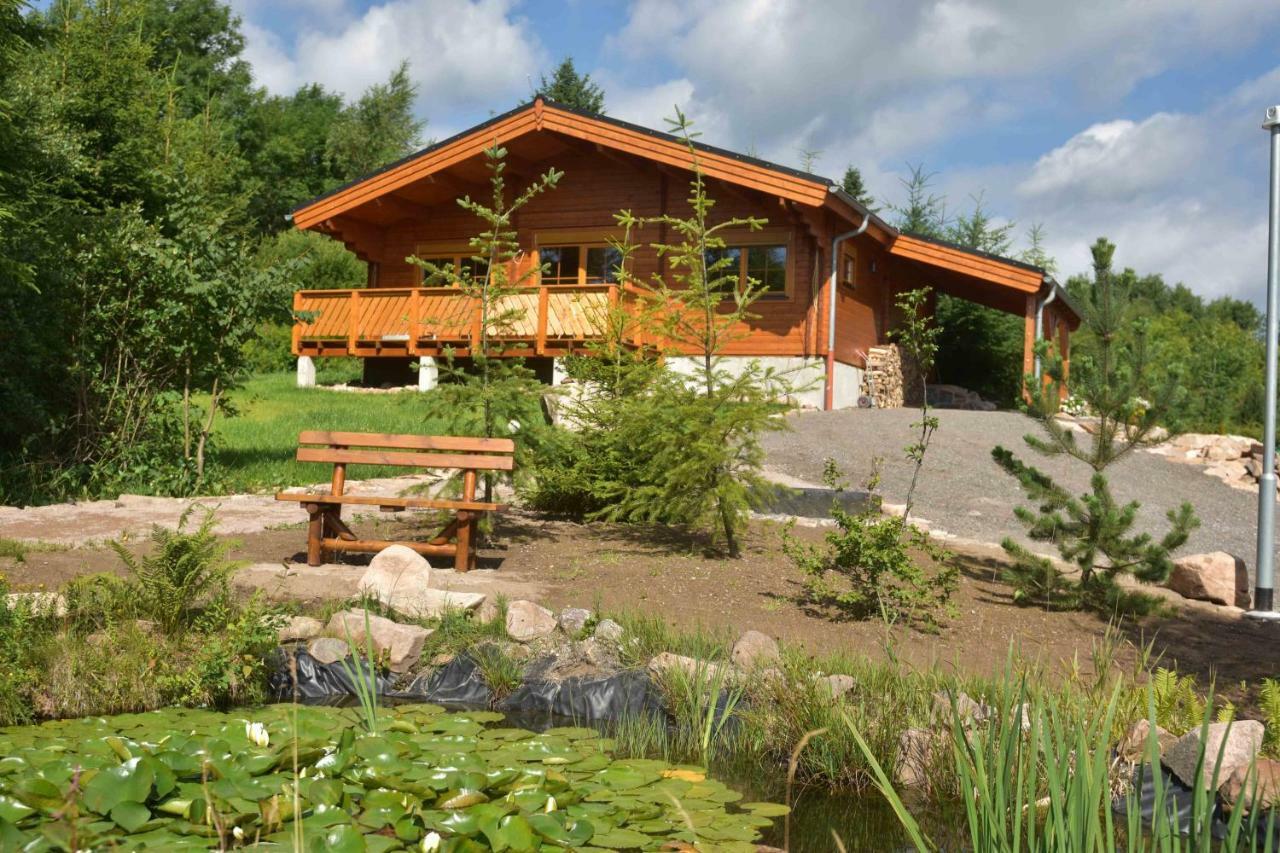 Erzgebirgsholzhaus Am Lugstein Villa Altenberg Luaran gambar