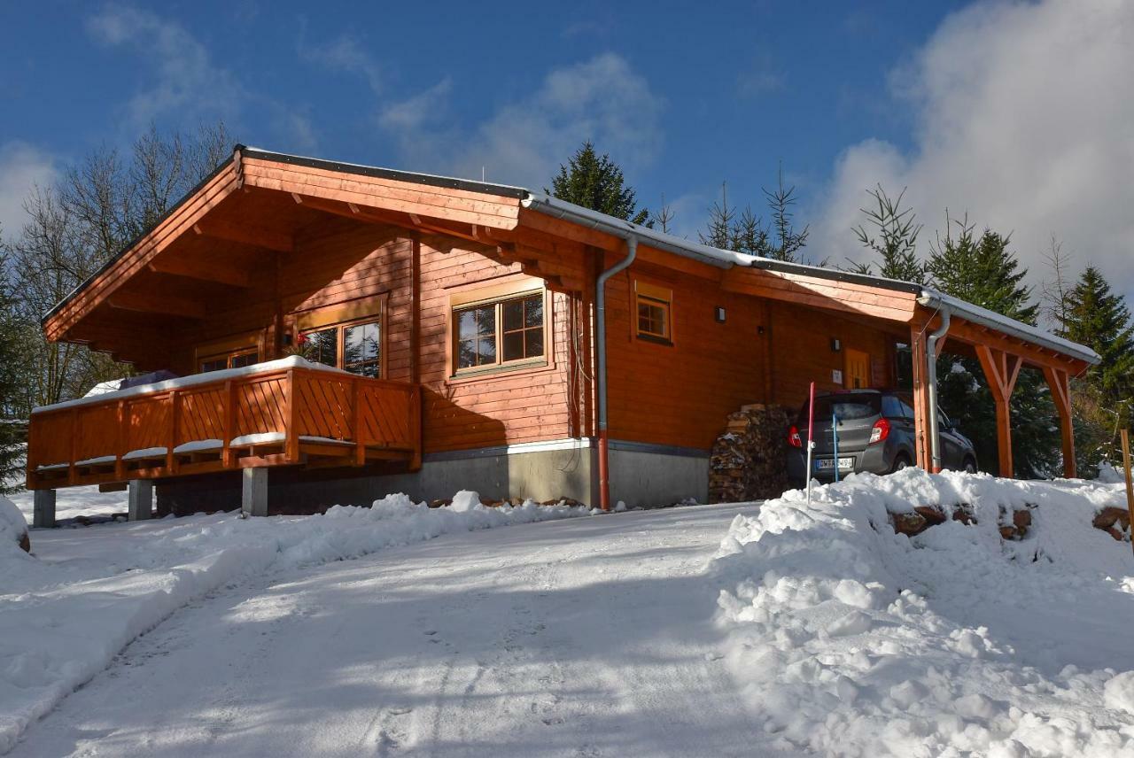 Erzgebirgsholzhaus Am Lugstein Villa Altenberg Luaran gambar